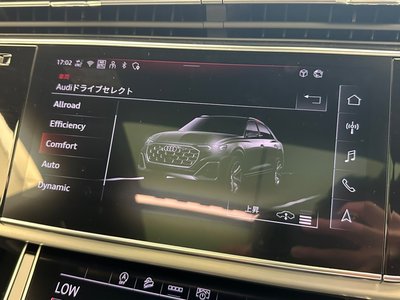 2025 AUDI Q8 缩略图 21