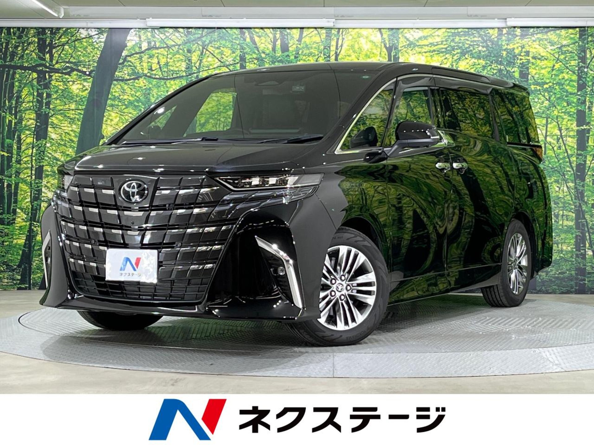 TOYOTA ALPHARD - View 1