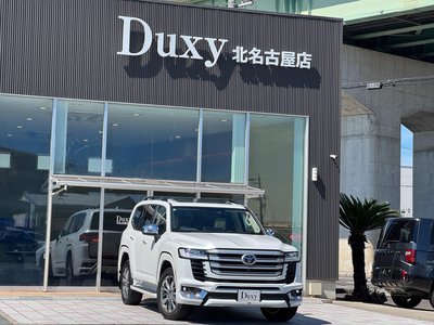 TOYOTA LAND CRUISER 300 - 8