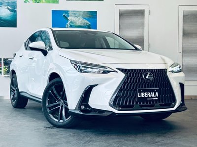 2021 Lexus NX — фото 4