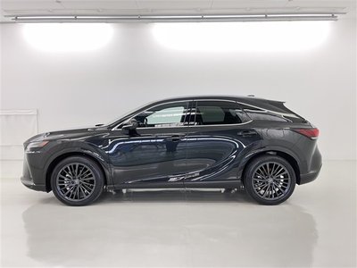 صورة مصغرة 17 لـ 2023 Lexus RX