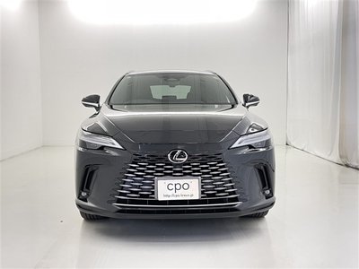 صورة مصغرة 16 لـ 2023 Lexus RX