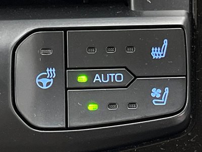 2022 Toyota LAND CRUISER 300 — миниатюра 34