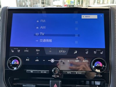 2025 Toyota ALPHARD — миниатюра 14