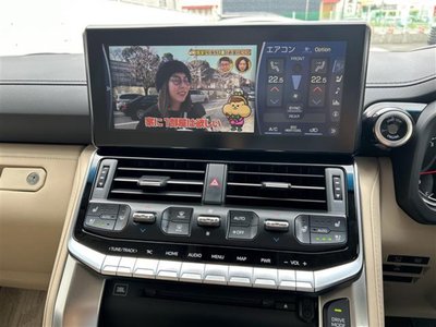 2024 Toyota LAND CRUISER 300 — миниатюра 19