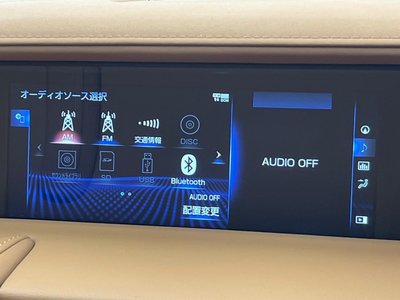 2020 Lexus LC CONVERTIBLE 缩略图 60