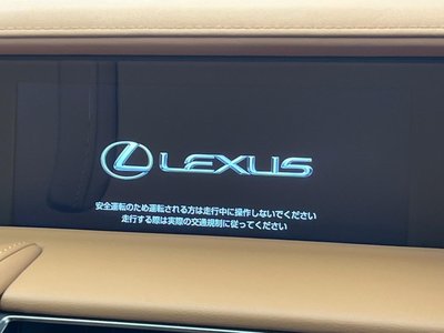 2020 Lexus LC CONVERTIBLE photo 6