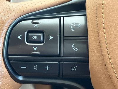 2020 Lexus LC CONVERTIBLE 缩略图 50