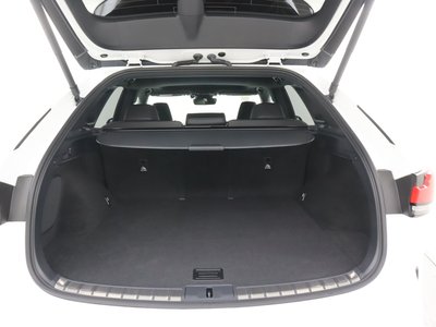 2024 Lexus RX 缩略图 13