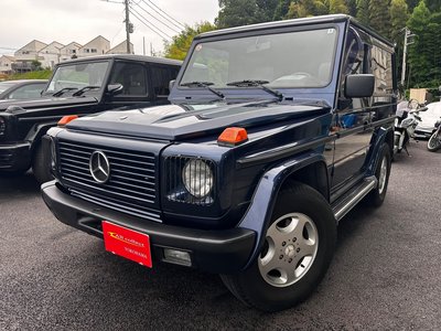 1995 Mercedes-BENZ G-CLASS — фото 1