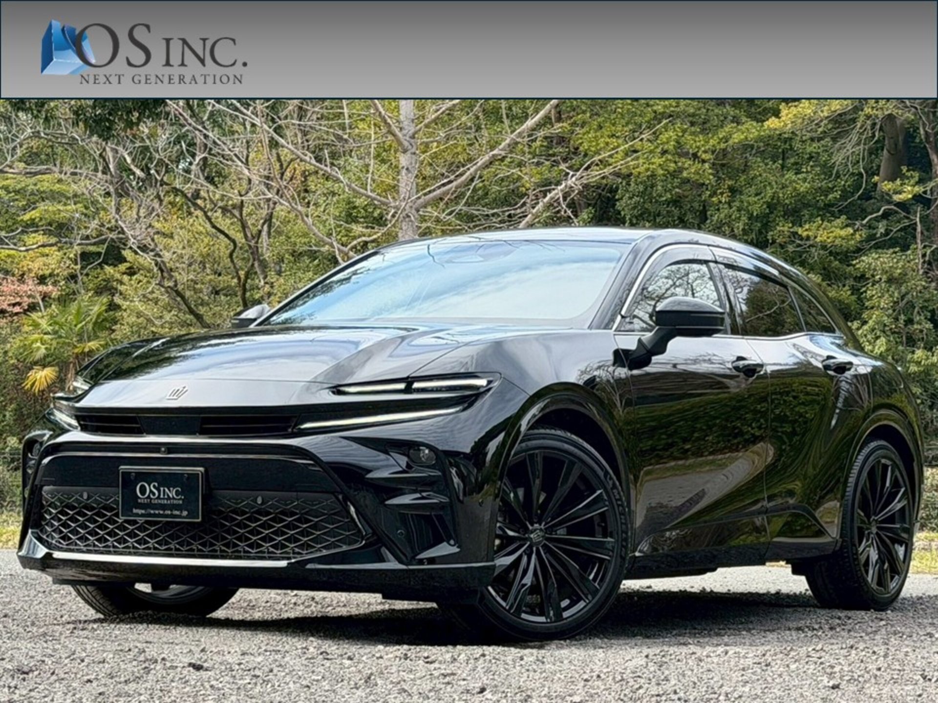 TOYOTA CROWN SPORT - View 1