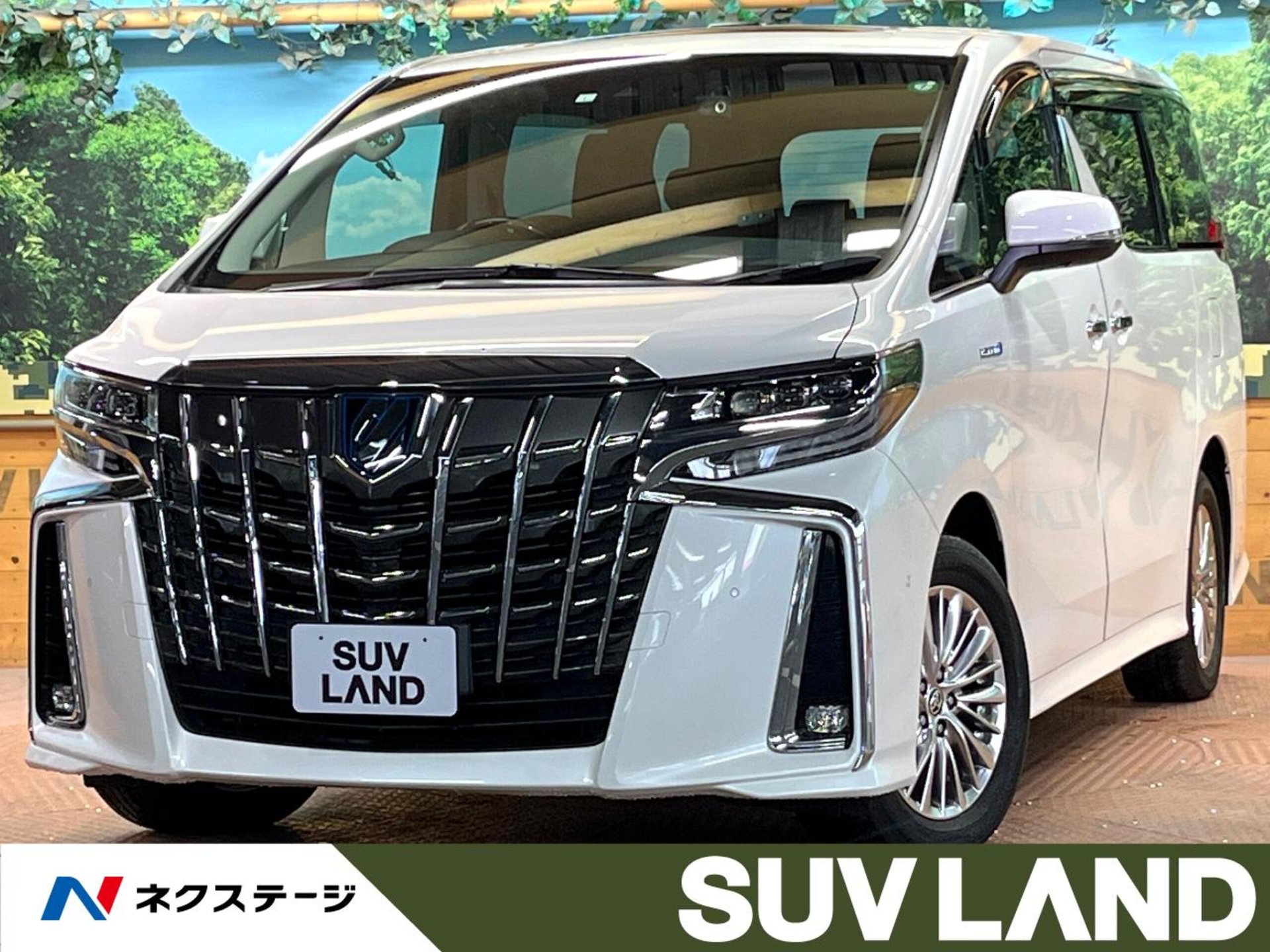 TOYOTA ALPHARD - View 1