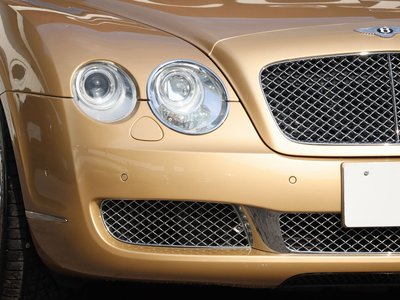 2006 Bentley CONTINENTAL 缩略图 17