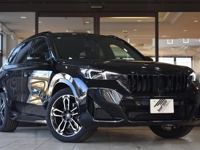BMW X1 - 1