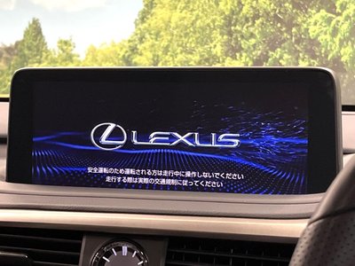 LEXUS RX - 6