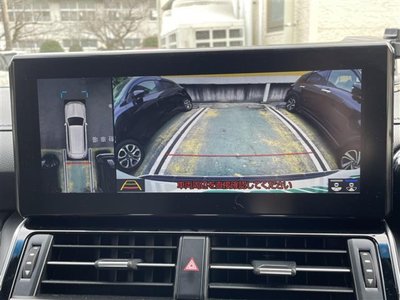 TOYOTA LAND CRUISER 300 - 3