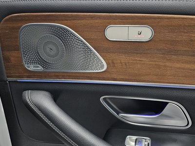 2019 Mercedes-BENZ GLE 缩略图 30