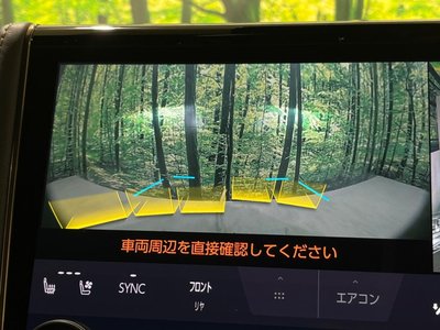 2024 Toyota ALPHARD 缩略图 76