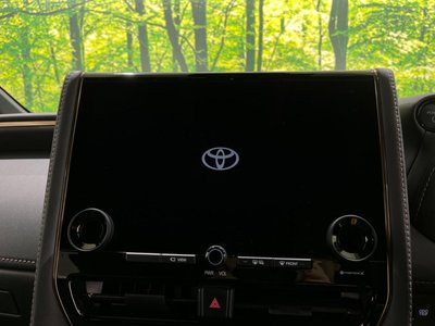 2024 Toyota ALPHARD photo 4