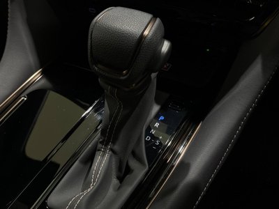 2024 Toyota ALPHARD 缩略图 63