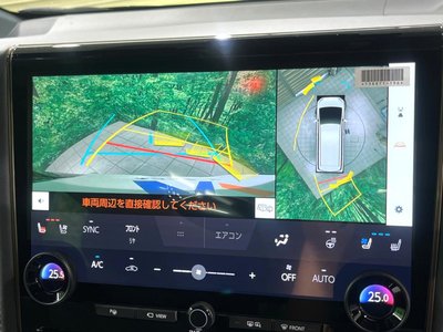 TOYOTA ALPHARD - 6