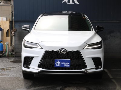 LEXUS RX - 2