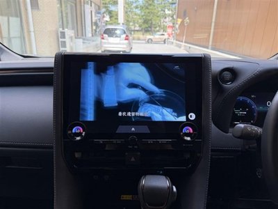 2025 Toyota ALPHARD 缩略图 30
