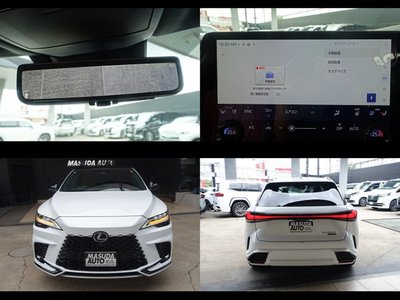 LEXUS RX - 10