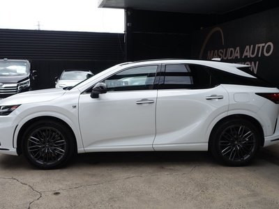 LEXUS RX - 6