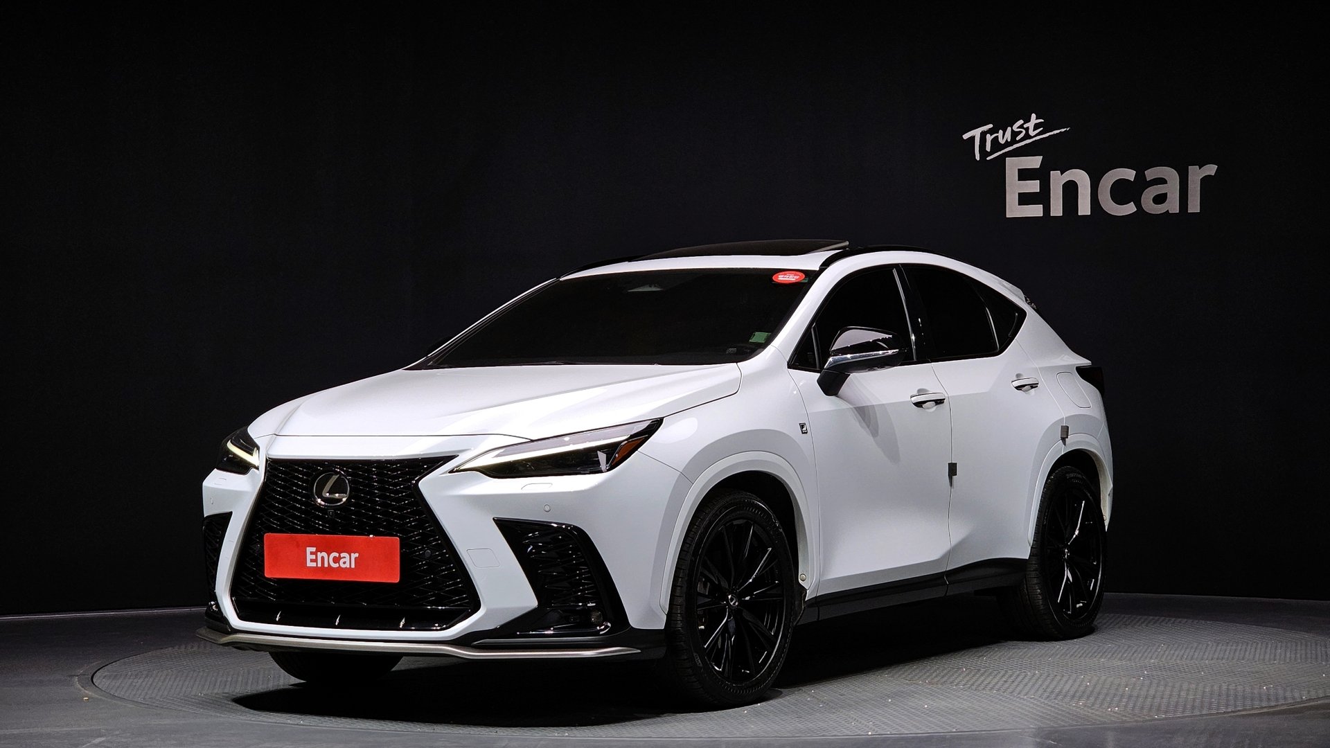 LEXUS NX - View 1