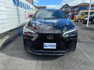 2023 Lexus NX — миниатюра 30