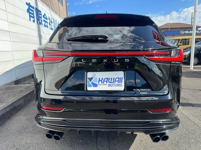 2023 Lexus NX — миниатюра 28