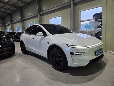 2025 Tesla MODEL Y 照片 1