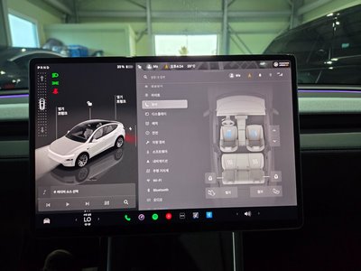 2025 Tesla MODEL Y 缩略图 12