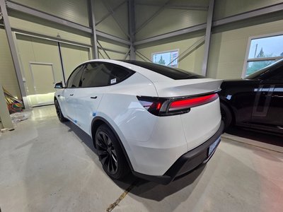 2025 Tesla MODEL Y 照片 5