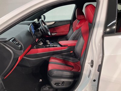 2023 Lexus NX 照片 8