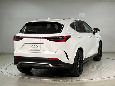 2023 Lexus NX 照片 5