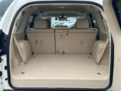 2023 Toyota LAND CRUISER PRADO 照片 10
