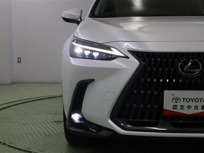 LEXUS NX - 10