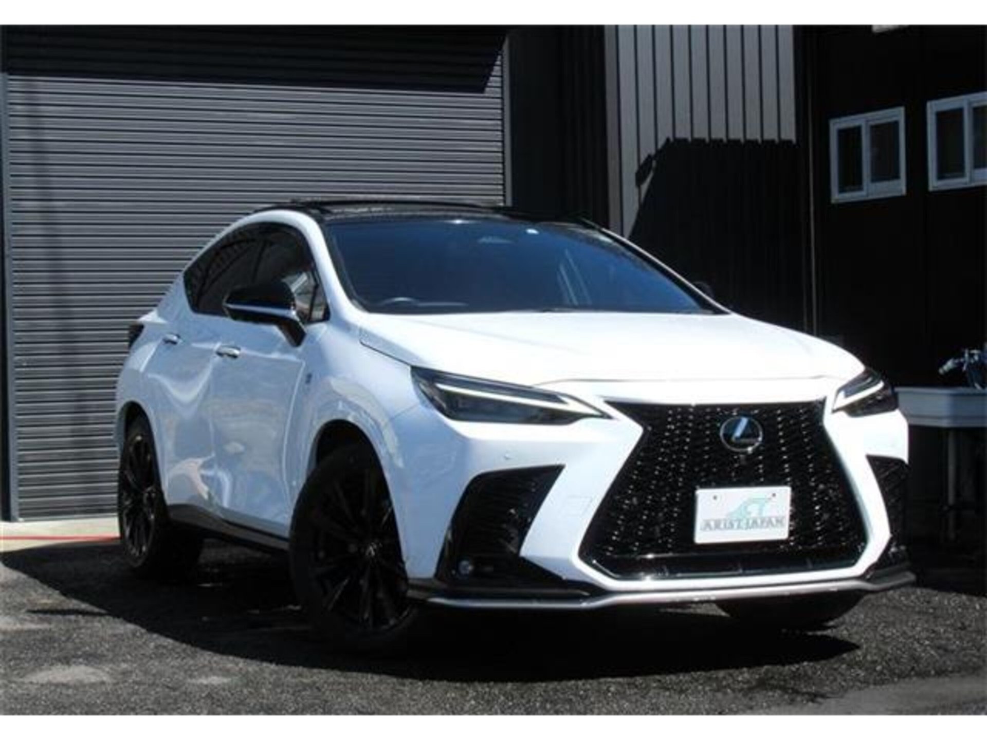 LEXUS NX - View 1