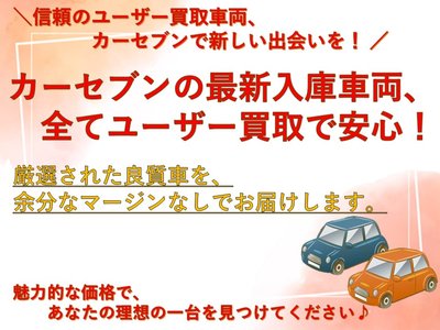 TOYOTA ALPHARD - 4