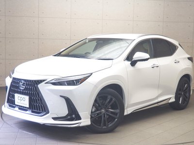 2023 Lexus NX 照片 1
