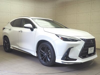 2023 Lexus NX 照片 3