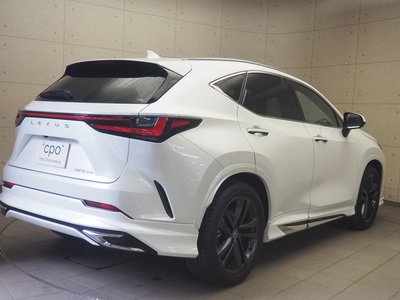 2023 Lexus NX 照片 7