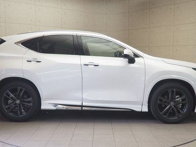 2023 Lexus NX 照片 8