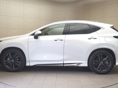 2023 Lexus NX 照片 4