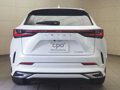 2023 Lexus NX 照片 6