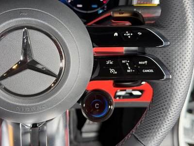 2025 Mercedes-BENZ GT AMG thumbnail 24