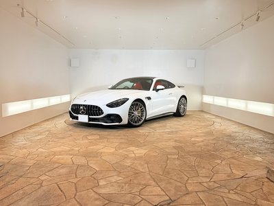 2025 Mercedes-BENZ GT AMG 照片 1