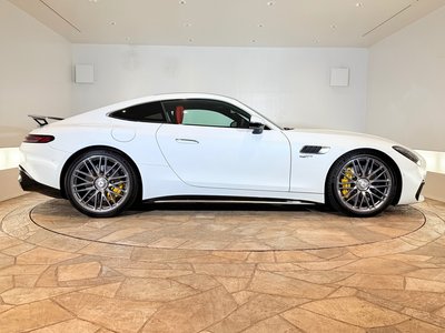 2025 Mercedes-BENZ GT AMG 照片 6